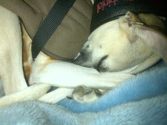 IMG-20120202-00016