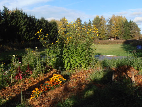 kesä2013 262