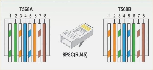 Fast Ethernet Wiring Diagram - DAISYKATSTUDIO