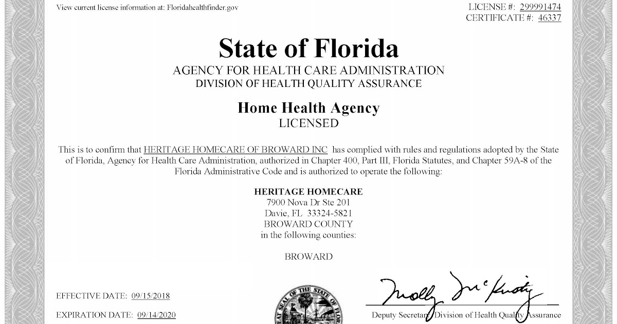 28 LICENSE VERIFICATION CNA FLORIDA, VERIFICATION LICENSE CNA FLORIDA - License