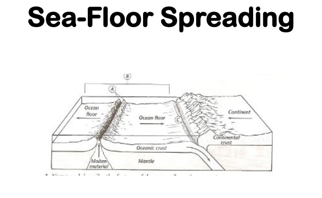 Ocean Floor Diagram Worksheet Answers | Floor Roma