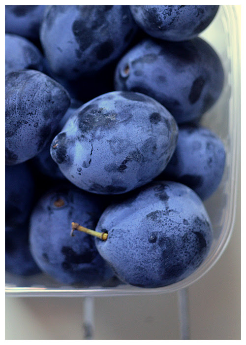 plums© by Haalo