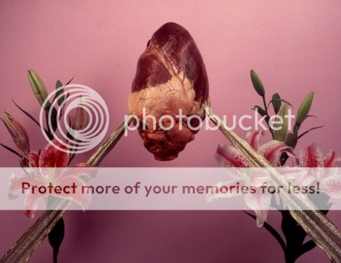 Photobucket - Video and Image Hosting