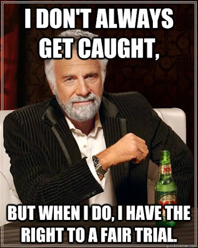 I don't always get caught, but when i do, I have the right to a fair trial.  - The Most Interesting Man In The World - quickmeme