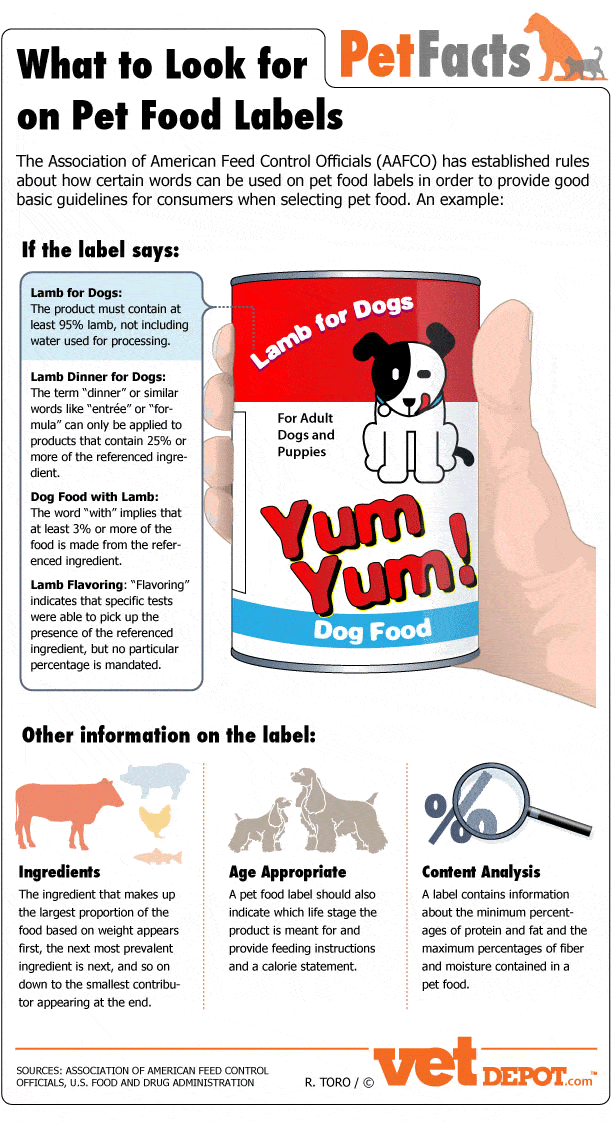 pet-food-infographic