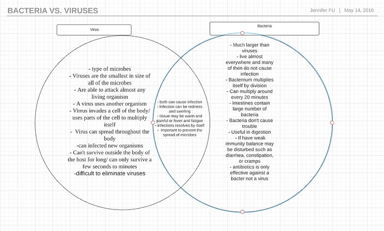 Virus Vs Bacteria Venn Diagram