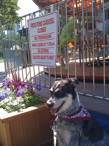 Photo 11 - 2010-06-28
