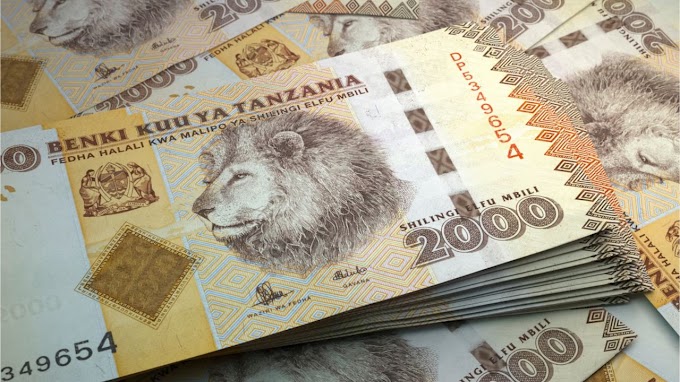 Tanzanian Central Bank Preparing for CBDC to Ensure Country Is Not Left Behind