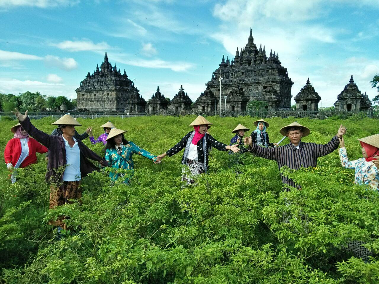 Tempat Wisata Rekomen Untuk Kegiatan Gathering Di Sulawesi Selatan