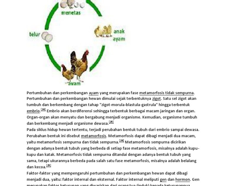 Perubahan Bentuk Pada Tubuh Hewan Selama Siklus Hidup Disebut Berbagi Bentuk Penting