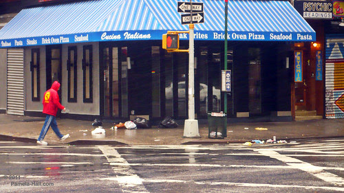 P1200421 copy