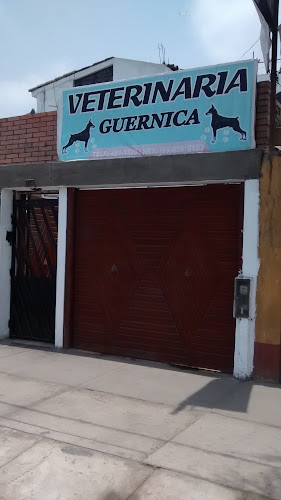 VETERINARIA GUERNICA - Veterinario