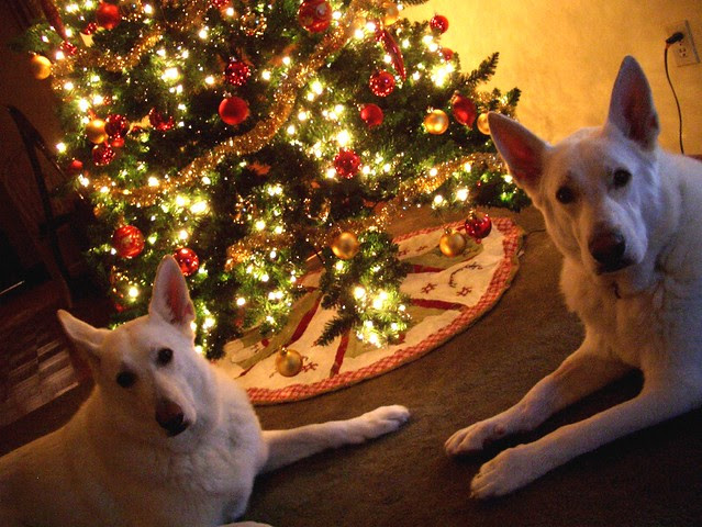 Dec. 10-Biko & Sam-1