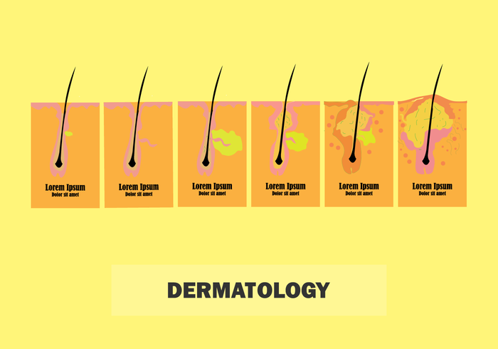 Art Of Dermatology Locations Locations Dermatology