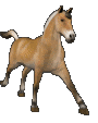 horse running animation