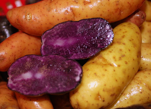fingerling