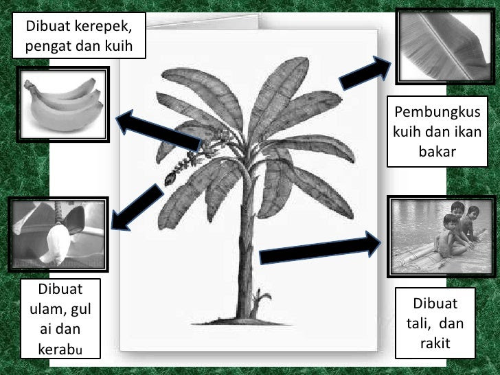 Contoh Soalan Kbat Pendidikan Al Qur'an Dan As Sunnah 