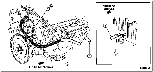 2006 Bmw 325i Radiator Hose Diagram - Thxsiempre