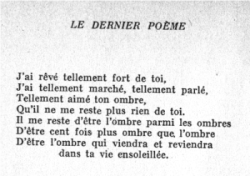 Citation Damour Ombre Best Citations D Amour