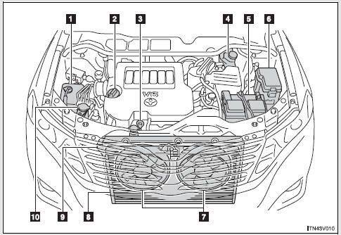 Toyotum Venza Engine Diagram - Complete Wiring Schemas