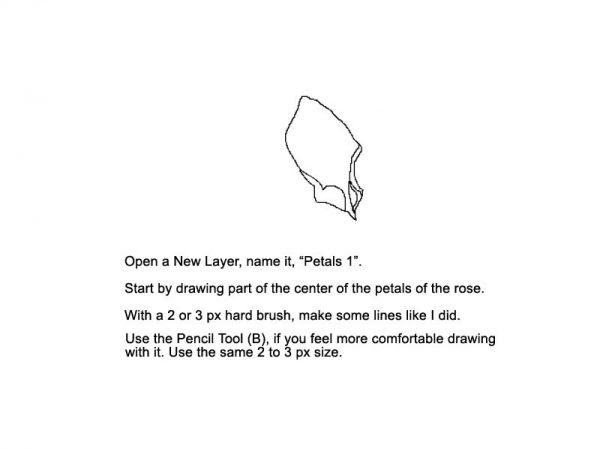 Featured image of post How To Draw Rose Petals - They are just slightly curved lines going around in the circle when you think about it.