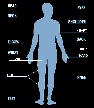 Body Parts Of Woman Name With Picture : Parts of body for kids | Parts