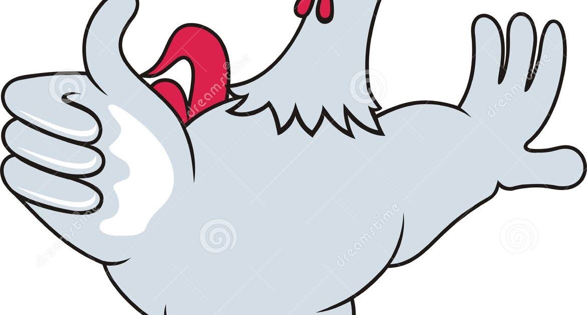  Gambar  Ayam  Clipart Gambar  V