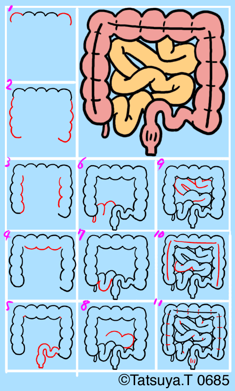 19年の最高 シーサー イラスト 書き方 Free Illustration Material