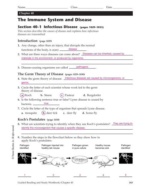 viruses-bacteria-and-your-health-worksheet-answers-promotiontablecovers