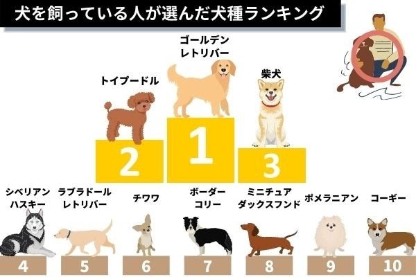 選択した画像 犬 逃げる人 120639