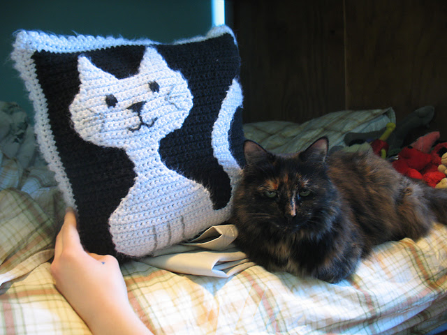 Craft Passions: Cat and Mouse afghan and pillow..# free # Crochet ...