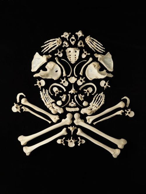 Art Made from
Real Human Bones (12 pics) Art Made from Real Human Bones (12 pics)