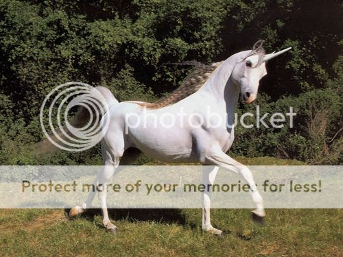 Unicorn