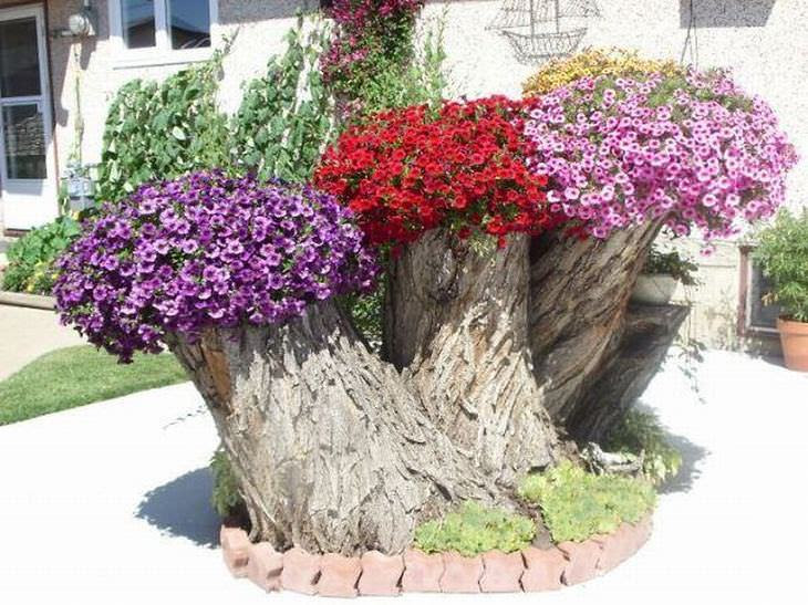Lindas Floreiras de Tocos de Árvores