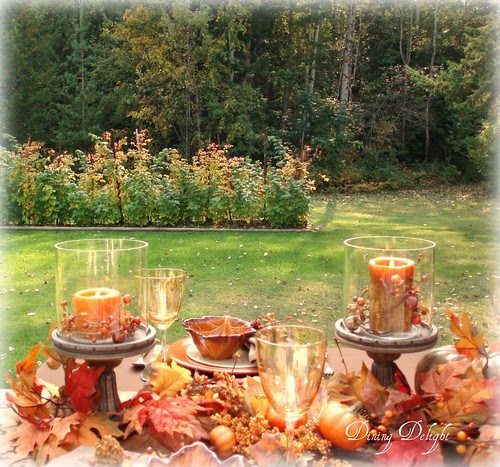 Dining Delight: Backyard Fall Luncheon