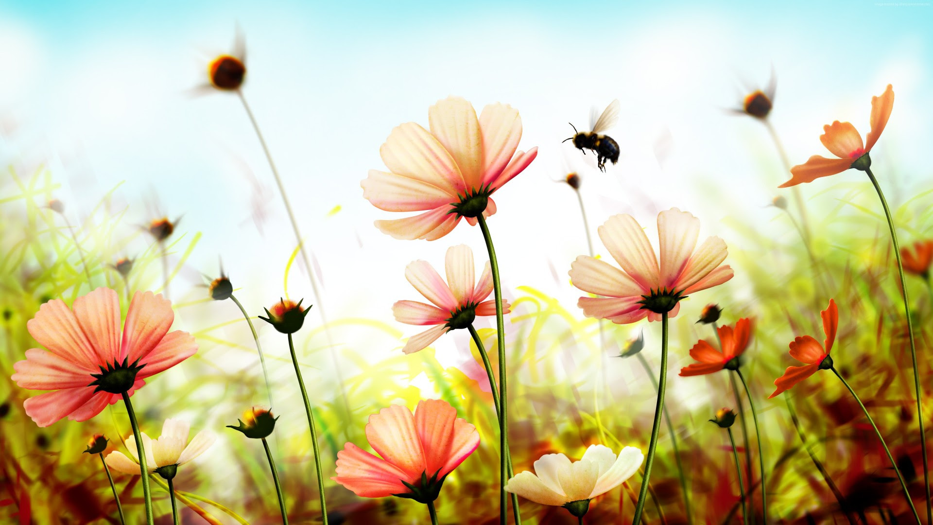 Fresh Hd Image Of Nature With Flower Top Collection Of Different