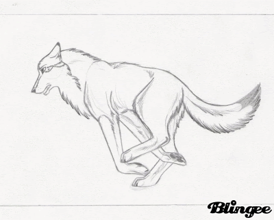 Featured image of post View 26 Anime Sad Wolf Base