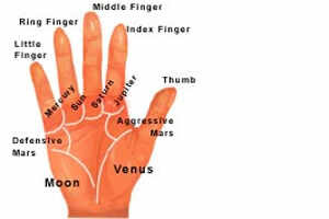 PALM-2