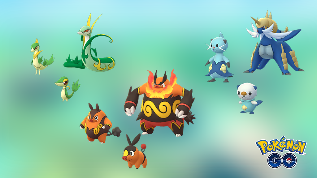 ポケットモンスター サトシ ツタージャ