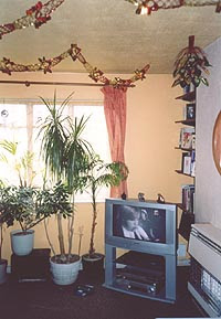 lounge post-decorating