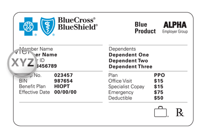 insurance plan card payer blue bcbs shield cross state example company plans determining details member family care pa