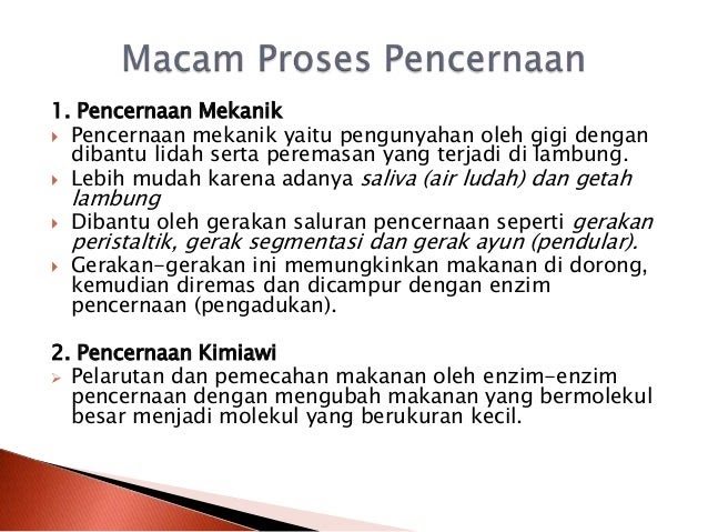 Jelaskan perbedaan pencernaan mekanis dan kimiawi