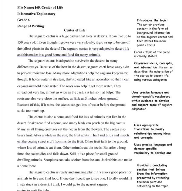 sample expository essay grade 6