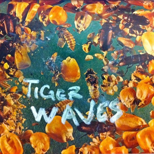 click for band site | tiger waves