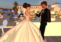 Thorne-Darwin Wedding - Toast