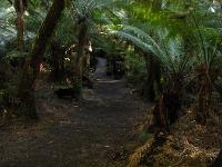 Free Image Hosting at www.ImageShack.us