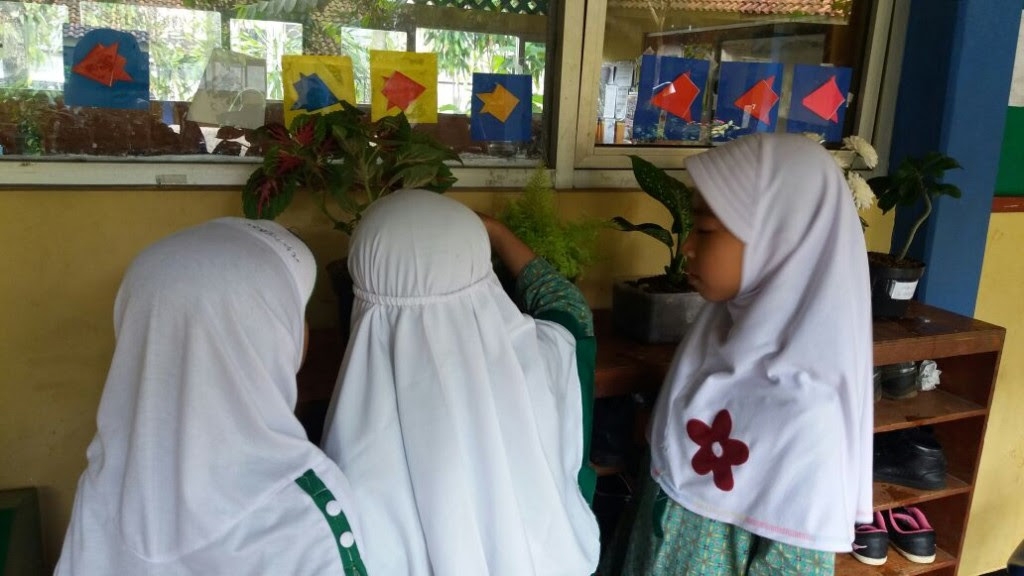 Top 12 Tanaman Hias Sekolah Viral  