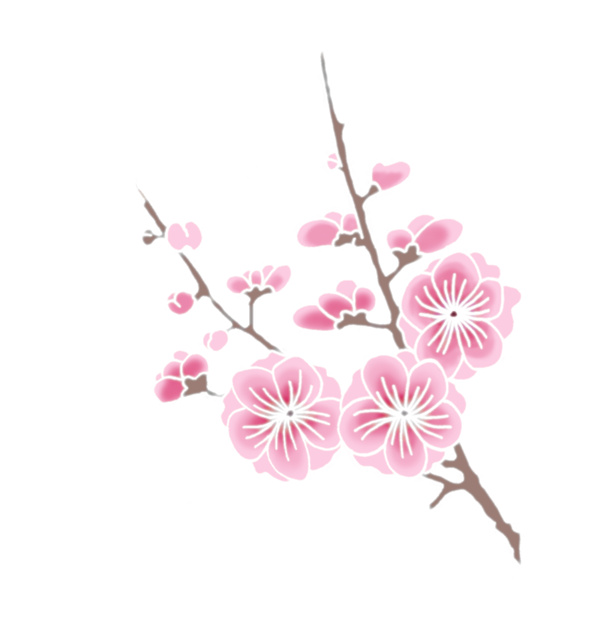 Real Sakura Flower Png - Get Images One