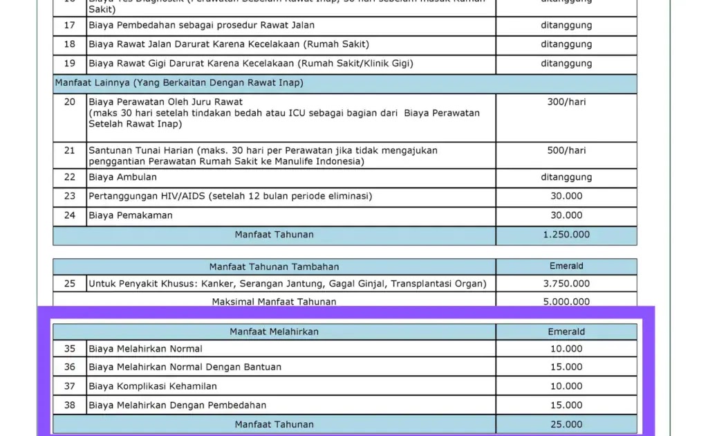 Cara Cek Saldo Asuransi Car