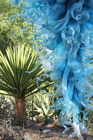 Chihuly0033_PS